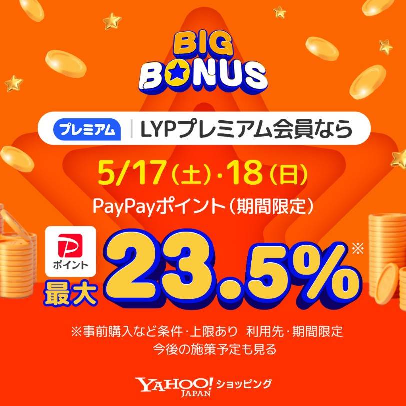 ビッグボーナス